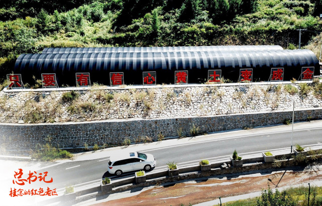 總書記掛念的紅色老區(qū)：對(duì)這里，總書記有“一個(gè)情結(jié)”